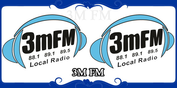 3M FM