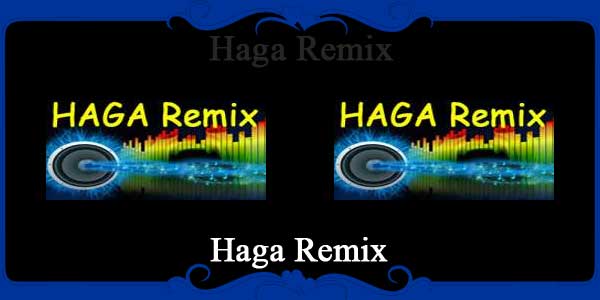 Haga Remix