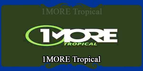 1MORE Tropical